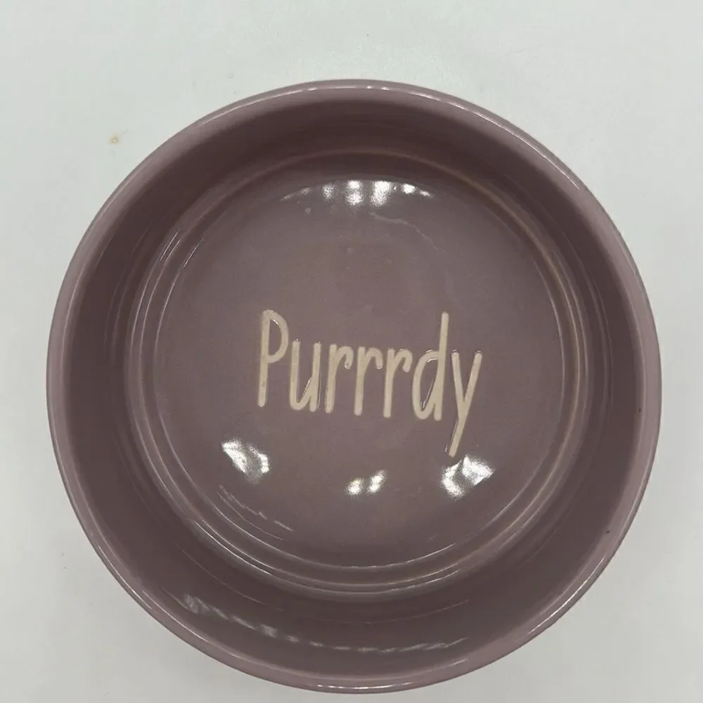 Whisker City Ceramic Non Skid 13 oz Purple Pet Food Dish